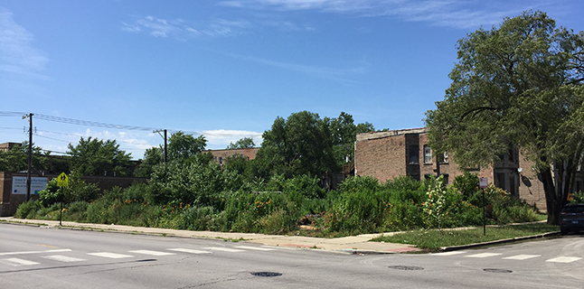 MLK District Garden site, 2019